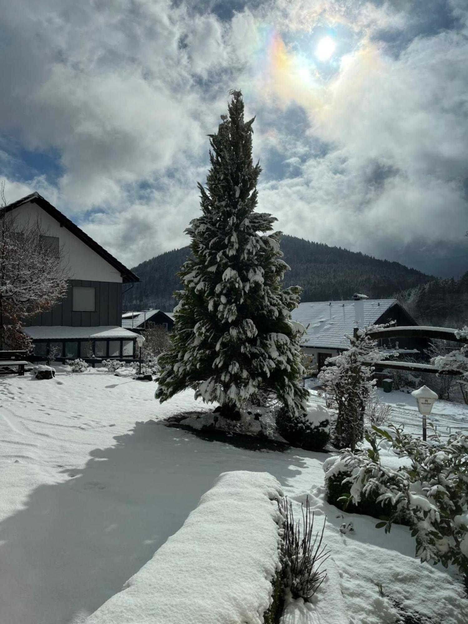 Casa Milix - Bed&Breakfast Bed and Breakfast Winterberg Exterior foto